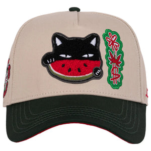 JC HATS WATERMELON CAT BEIGE GREEN | SPACE CAPS