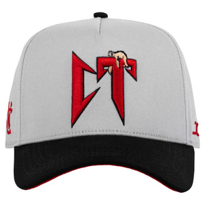 JC HATS CT GRAY | SPACE CAPS